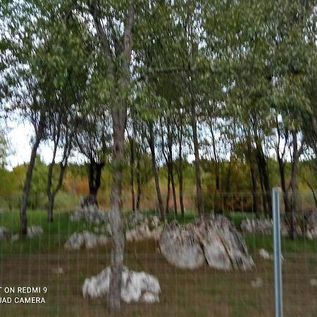 Apartman Deda Rakovica Exterior foto
