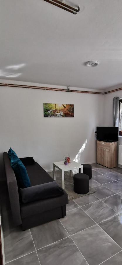Apartman Deda Rakovica Exterior foto